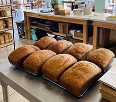 Mary-Ann's GF Bread (Sliced & Frozen)