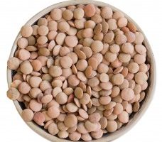 Brown Lentils (5kg packed loose in plastic bag)