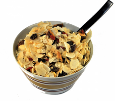 Muesli Grain-Free (500g)