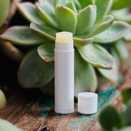 Lip Balm with Aloe and Jojoba (4.25g)